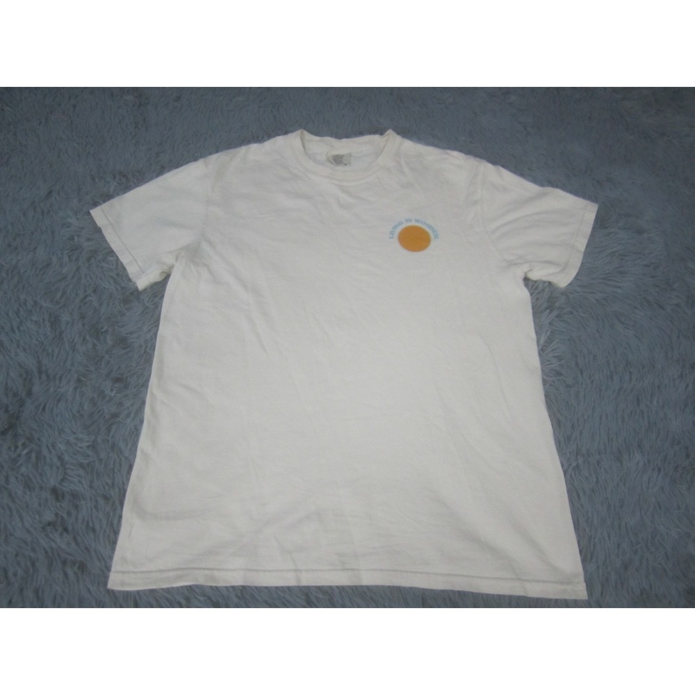Mens Shirt Medium Lot of 9 Short and Long Sleeve Graphic Print Dickies Hollister - Picture 12 of 16